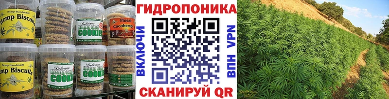 Canna-Cookies конопля  blacksprut ссылка  Боровичи 