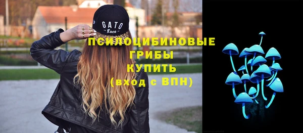 дмт Белокуриха