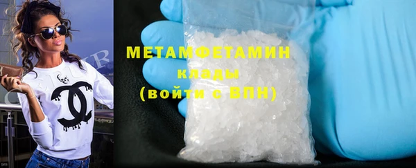 прущие грибы Апатиты