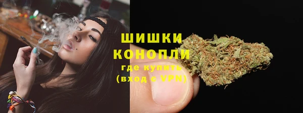 дмт Белокуриха