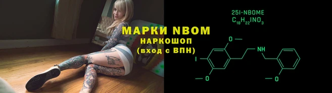 дмт Белокуриха