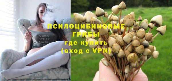 дмт Белокуриха