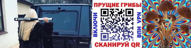 сколько стоит  МЕГА как войти  Псилоцибиновые грибы мухоморы  Боровичи 