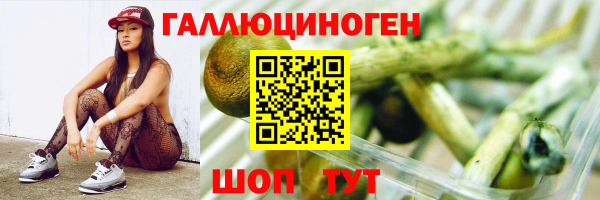 Галлюциногенные грибы Psilocybe  Вход с VPN  Псилоцибиновые грибы прущие грибы  Боровичи 